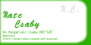 mate csaby business card